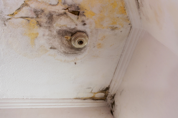 Infiltração na parede